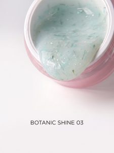 I ENVY YOU, Fast Gel Shine Botanic 03 (15g)
